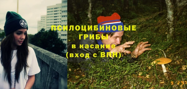 шишки Тобольск