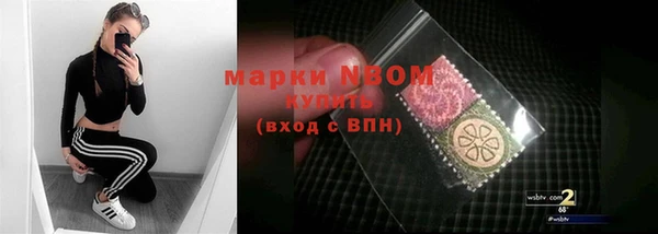 шишки Тобольск