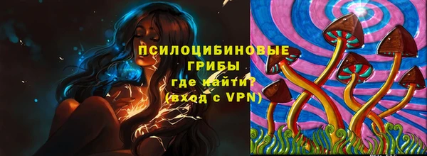 шишки Тобольск