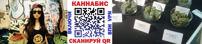 Конопля сатива  Купить закладки  Снежногорск 